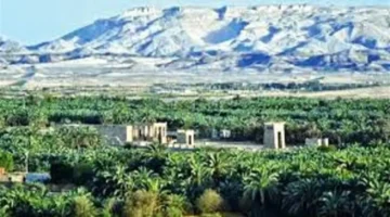 تفاصيل الاشتراك.. رحلات اعرف بلدك إلى الوادي الجديد لإجازة رأس السنة